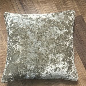Crushed Velvet Throw Pillow in Shimmering Silver/light green hue